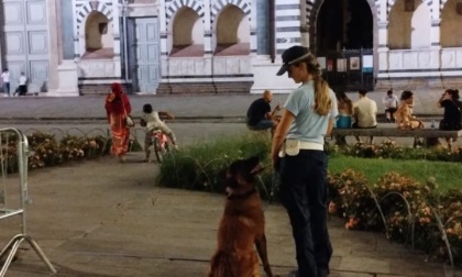 I cani "Viola" e "Nello" ancora protagonisti. Fiutano la droga nascosta nei cespugli