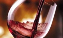 Nasce il Consorzio Vino Toscana:  "Premio all'impegno dei produttori"