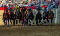 Palio rinviato. Domani favorita l'istrice. Ma occhio a Selva e Valdimontone