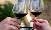L'incontro magico con il Chianti classico a Panzano: torna "Vino al Vino"