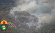 Incendi in Toscana: le fiamme mangiano ettari di bosco