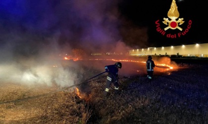 Baracche in fiamme nella notte: il vento propaga l'incendio nei campi