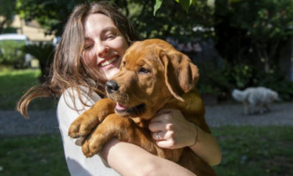 La Scuola cani guida della Regione apre le porte e cerca famiglie disposte ad adottare i cuccioli