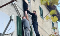 Tenta il suicidio lanciandosi dalla finestra, donna salvata dal tempestivo intervento dei Carabinieri