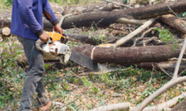 Schiacciato da un albero mentre tagliava la legna: morto 69enne di Aulla