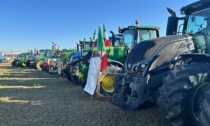 Nuova protesta degli agricoltori: corteo di 11 chilometri dei trattori in Valdichiana
