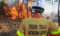 Vasto incendio a Roccalbegna, bruciati 26 ettari di bosco
