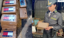 Livorno, container dal Sud America con 55 chili di cocaina: sequestro dal valore di oltre 20 milioni di euro