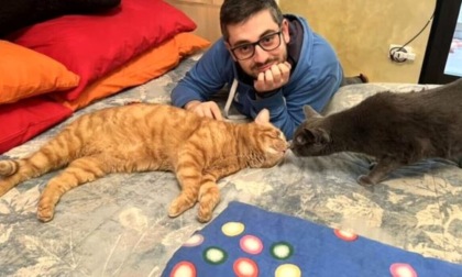 Sparito da oltre due anni, gatto Milo torna a casa. Ritrovato a Forte dei Marmi