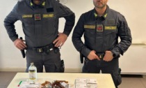 Pisa, maxi operazione nel settore dell'ippica: sequestrati farmaci dopanti e individuati 19 lavoratori irregolari