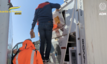 Porto di Livorno, 20 milioni di euro in cocaina nel container frigo: maxi operazione antidroga