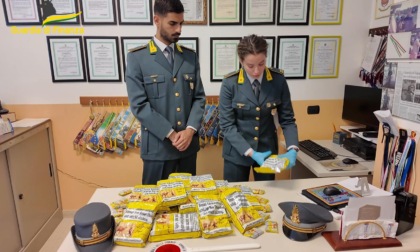 Sequestrati 20kg di "gutka" a Prato: "Sostanza stimolante e cancerogena"