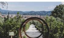 Firenze, il campeggio (chiuso dal 2015) ora diventa un giardino tra gli ulivi