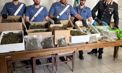 San Casciano Val di Pesa, avevano in casa 8 chili di droga: arrestati