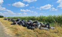 Prato, 85 casi di abbandono di rifiuti in cinque mesi: 19 persone deferite