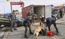 Tentarono di recuperare oltre 50kg di cocaina al porto di Livorno: sgominata banda di "esfiltratori"