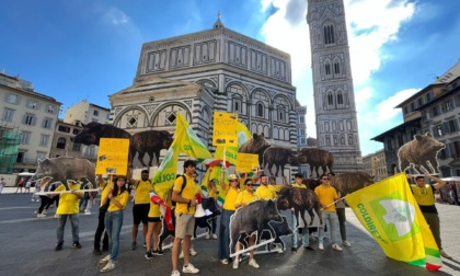 Agricoltori in marcia contro l'emergenza cinghiali nelle campagne toscane