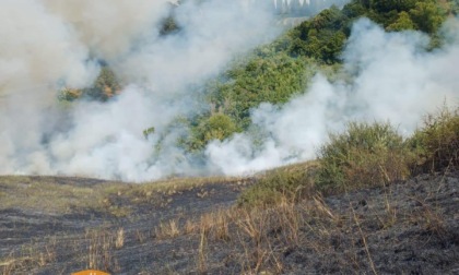 Incendi nel grossetano e nel senese: in fumo macchia mediterranea e olivi