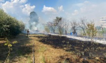 Incendio a Scandicci, fiamme in un campo vicino alle case: due vigili del fuoco si sentono male