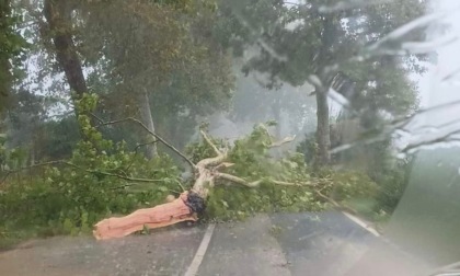 Maltempo, allagamenti e disagi. Bomba d'acqua e scuole chiuse a San Vincenzo