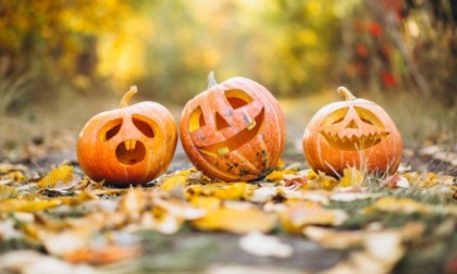 Cosa fare ad Halloween con bambini ed amici a Firenze e provincia: gli eventi 2024