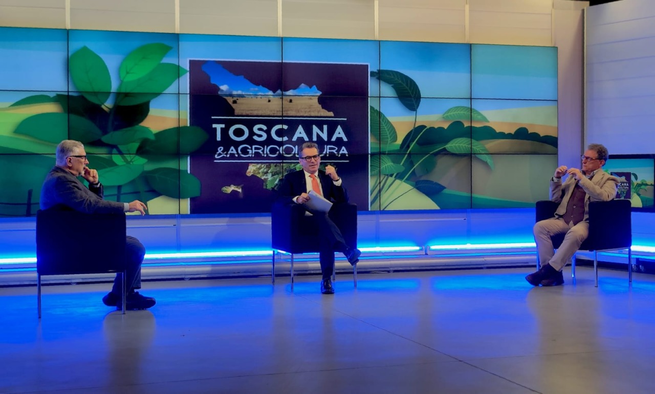 Olivicoltura, un settore da tutelare