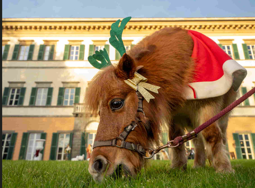 Appuntamenti del fine settimana in Toscana: tra Natale e cultura