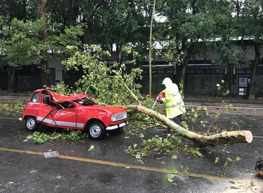 Il Comune di Firenze condannato per un ramo caduto su un’auto: risarcimento di 20mila euro