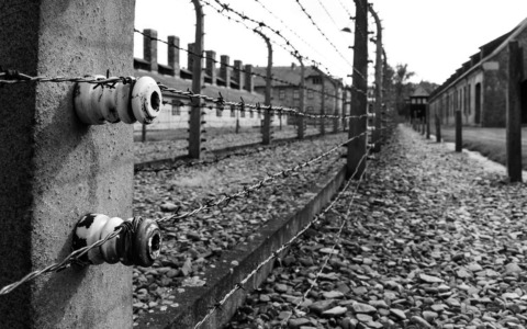 Giornata della Memoria: le celebrazioni a Firenze