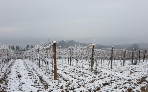 Neve e ghiaccio colpiscono Alto Mugello e Casentino