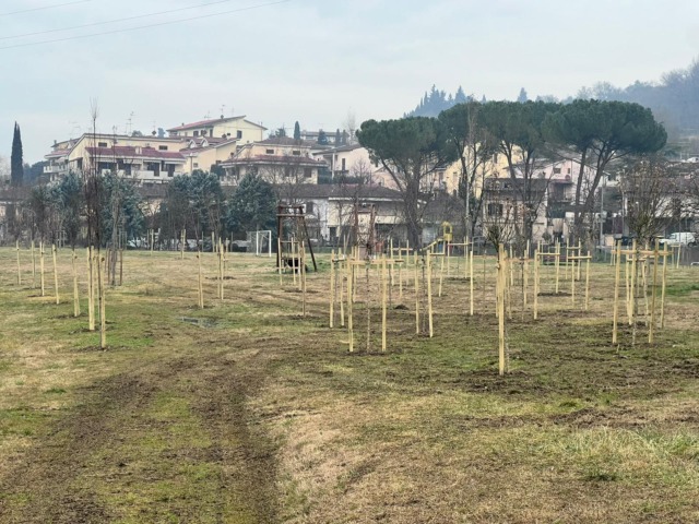 Plures Alia pianta 61 alberi nel parco di Baccaiano
