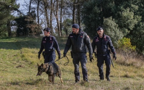 Scoperta una raffineria di cocaina a Fucecchio: quattro arresti
