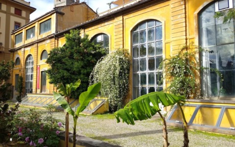 Verbesina Virginica al Giardino dei Semplici: un incanto di ghiaccio