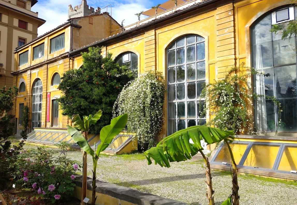 Verbesina Virginica al Giardino dei Semplici: un incanto di ghiaccio