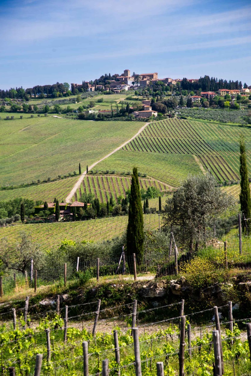 Allerta furti nelle abitazioni del Chianti fiorentino