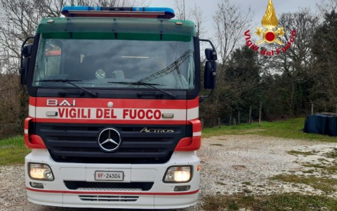 Crollo di un abete a Scandicci