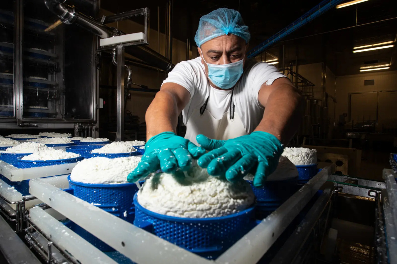 Firenze, il Forteto utilizza acqua in modo abusivo per il suo caseificio