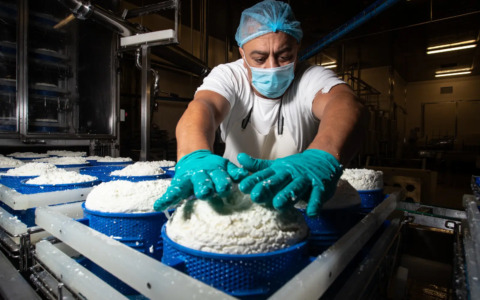 Firenze, il Forteto utilizza acqua in modo abusivo per il suo caseificio