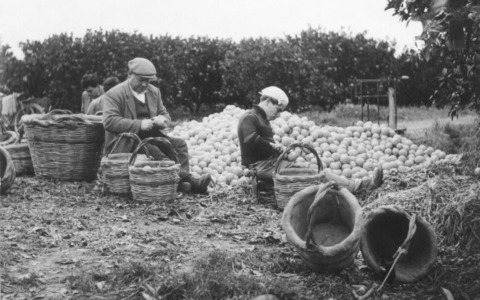 Alla Accademia dei Georgofili la mostra “Frammenti. Immagini dal mondo rurale”
