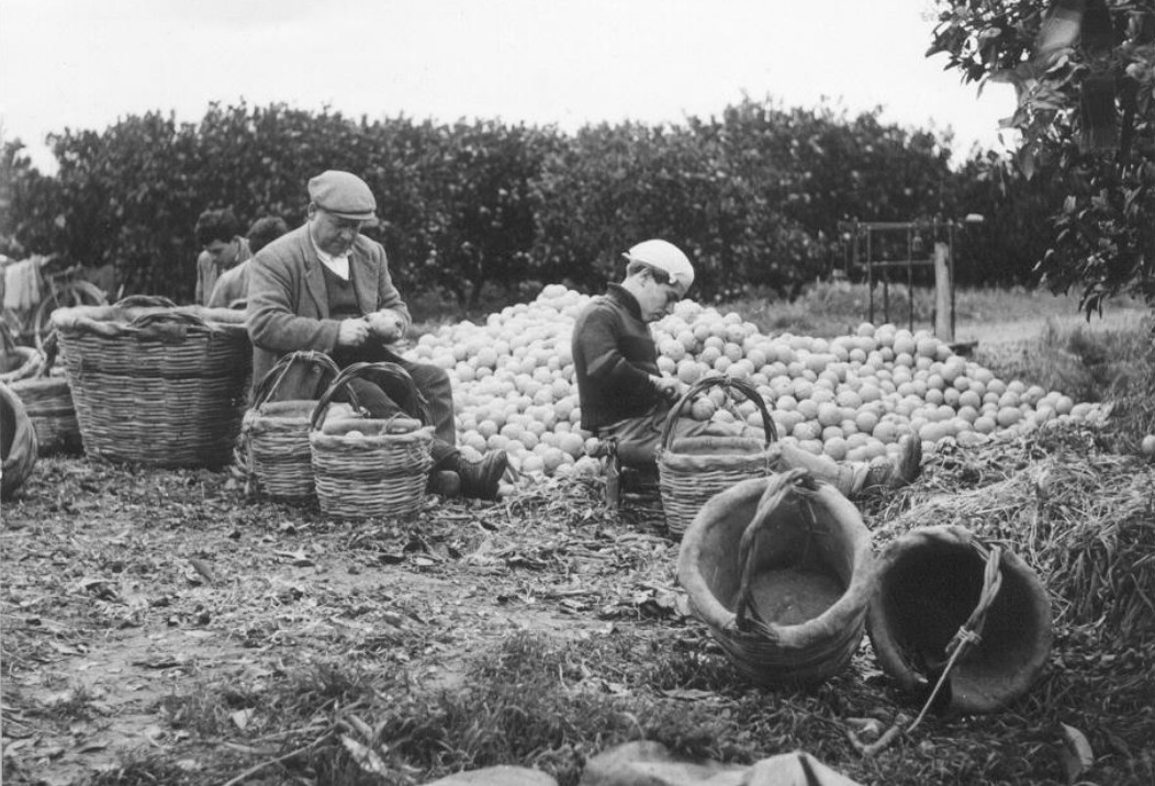 Alla Accademia dei Georgofili la mostra “Frammenti. Immagini dal mondo rurale”