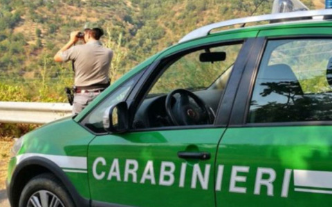 Incendi dolosi di rifiuti a San Casciano Val di Pesa
