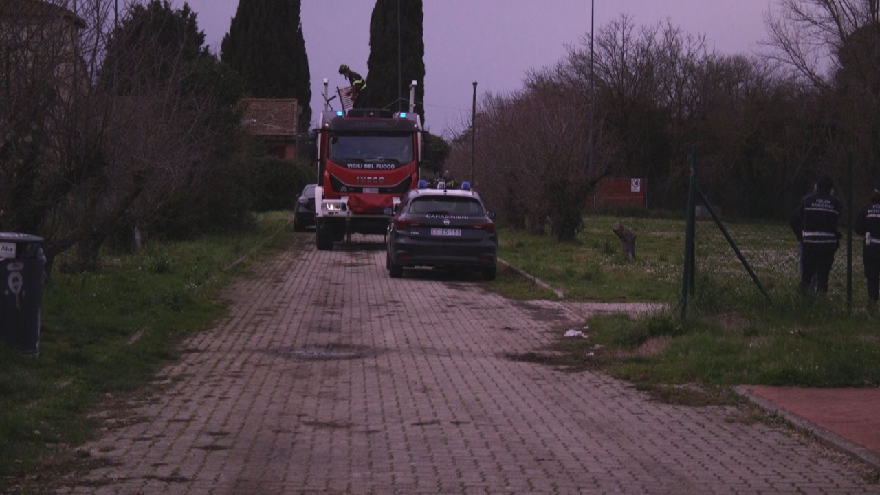 Indagini sulla morte di Silke Sauer continuano