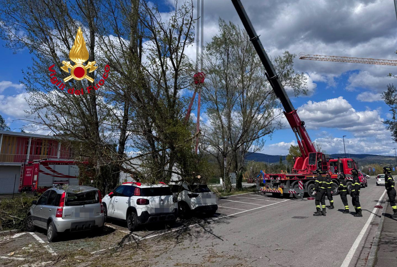 Maltempo, alberi caduti a Empoli e Arezzo: ferita una donna