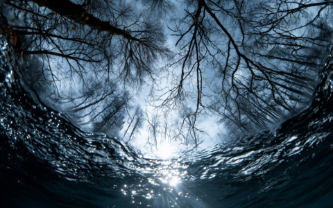 Dalla storica alluvione alla crisi idrica: l’Arno raccontato in un’installazione digitale