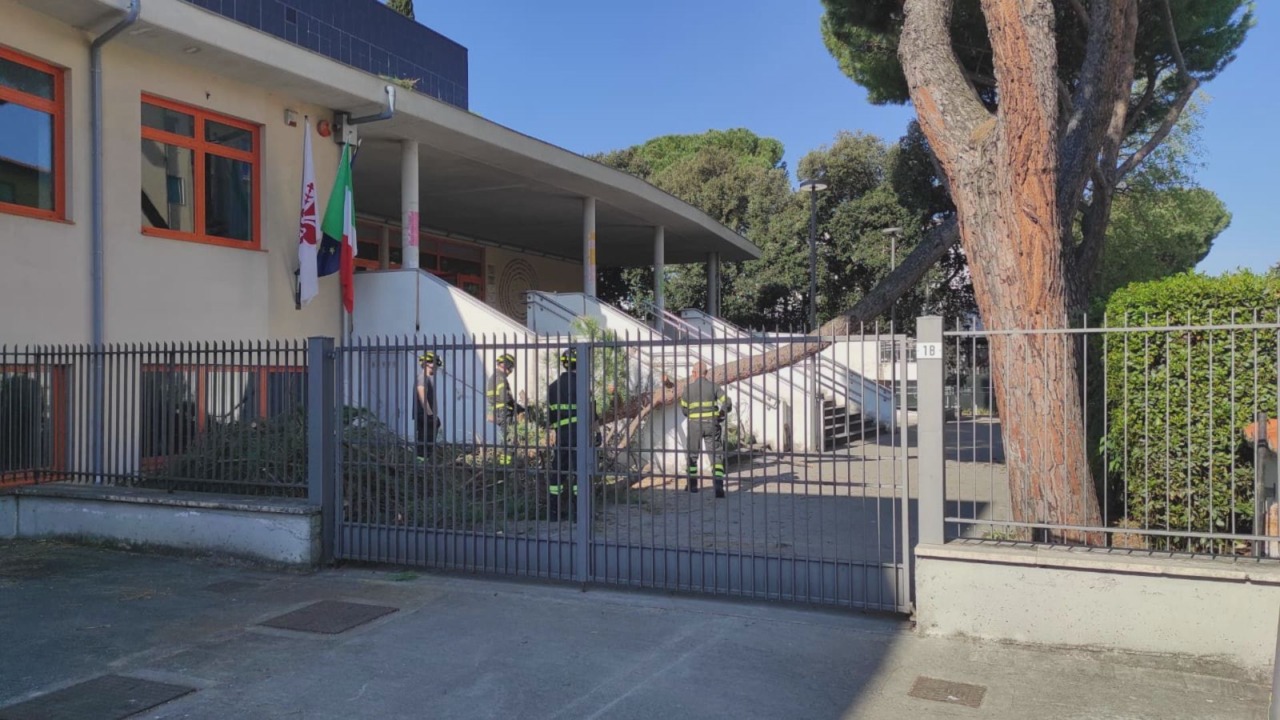Firenze, un grosso ramo si stacca da un albero in una scuola chiusa