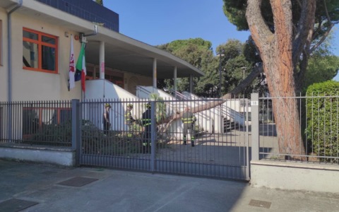 Firenze, un grosso ramo si stacca da un albero in una scuola chiusa